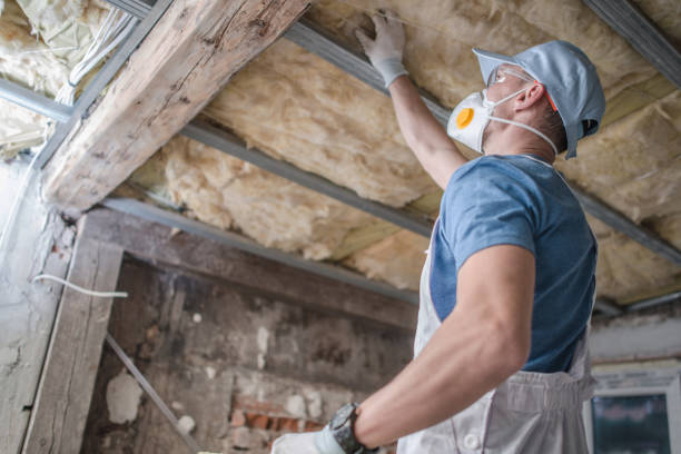 Types of Insulation We Offer in Bonny Doon, CA