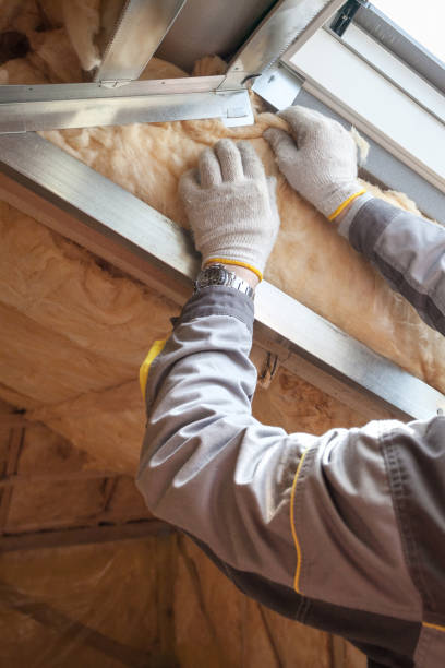 Professional Insulation Contractor in Bonny Doon, CA