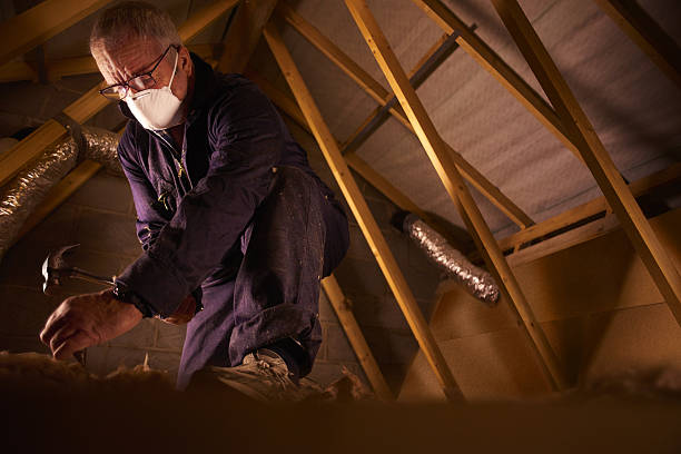 Best DIY Insulation Kits and Guidance in Bonny Doon, CA